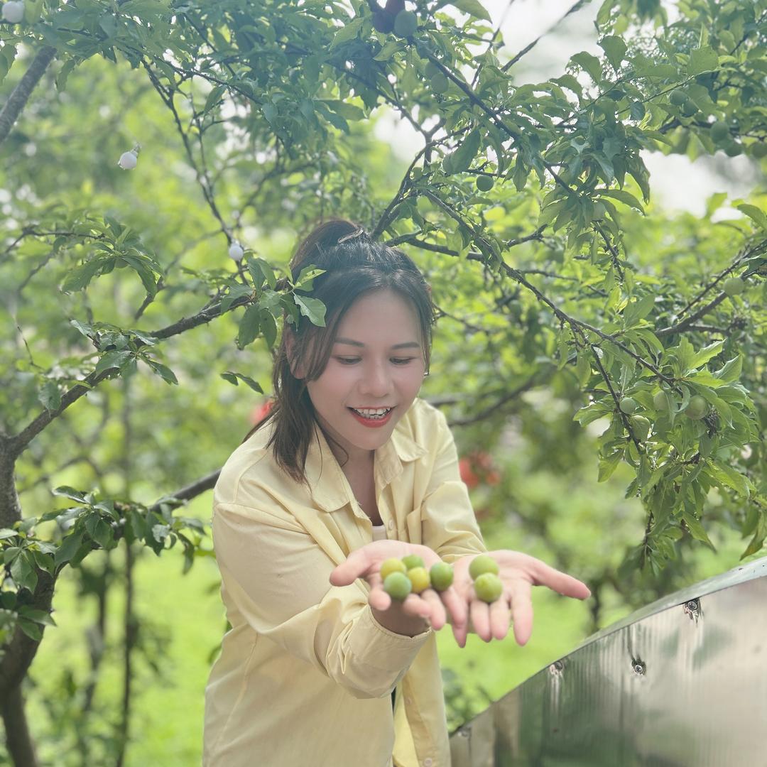 依妖小丽