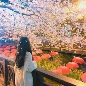 森林幽静