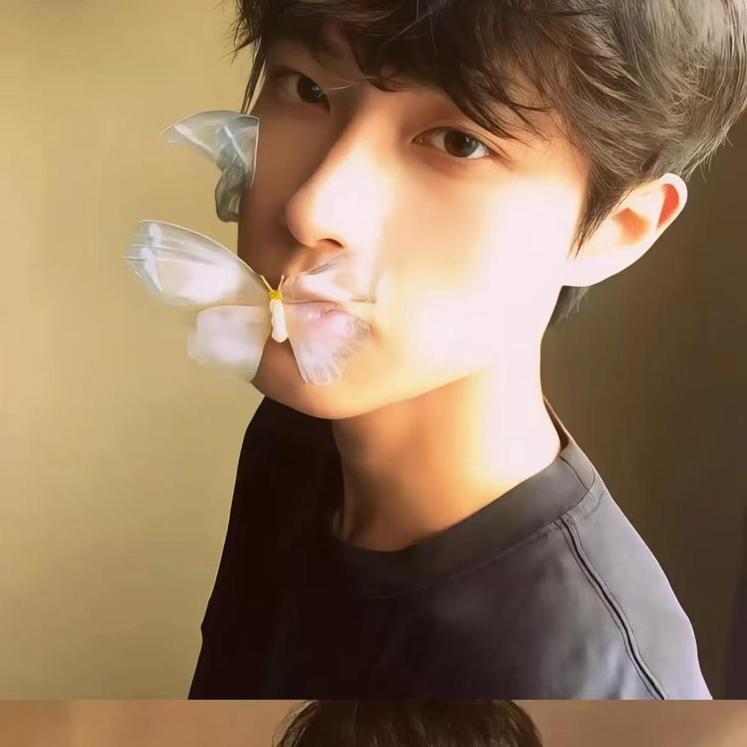 純（暗区突围pc）