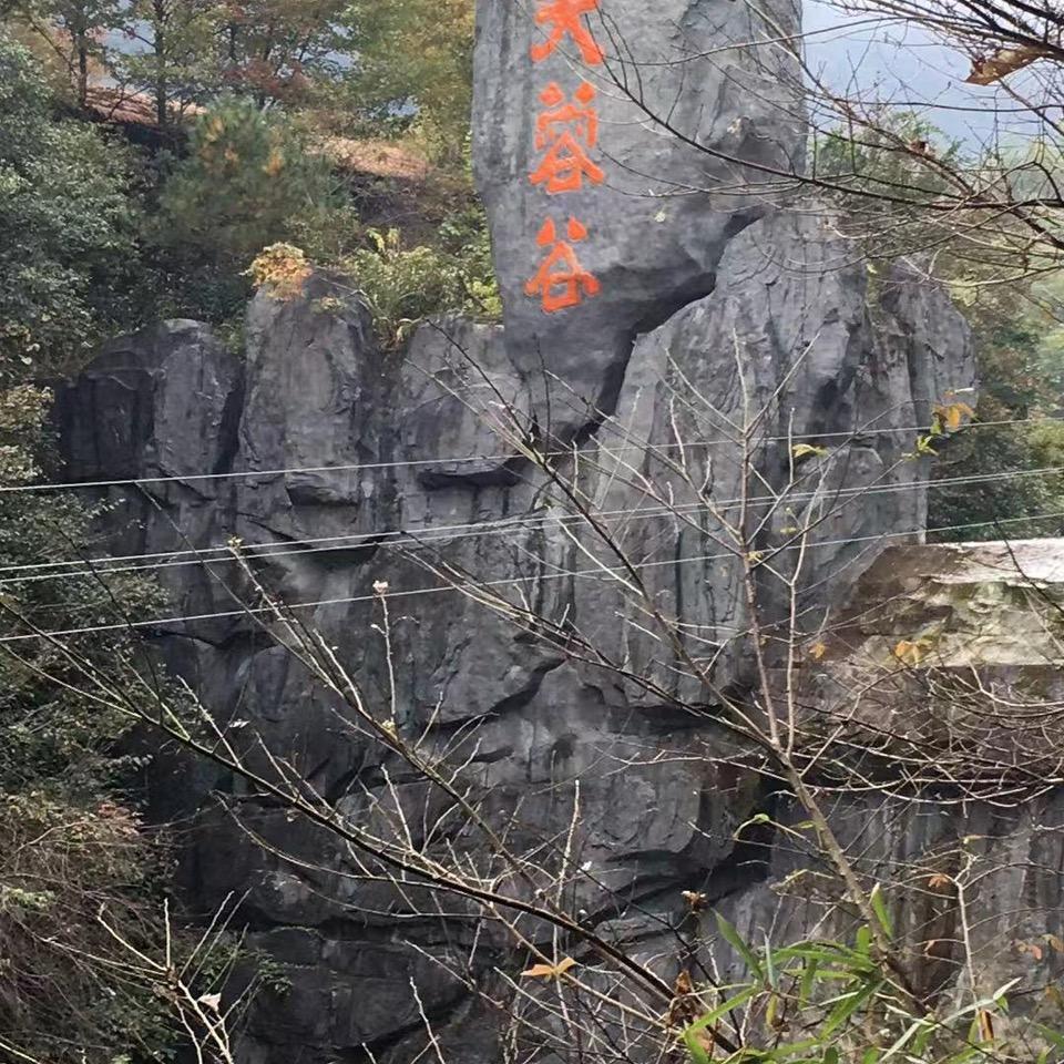 🚣🏼‍♀️悠然🍂时光☀️