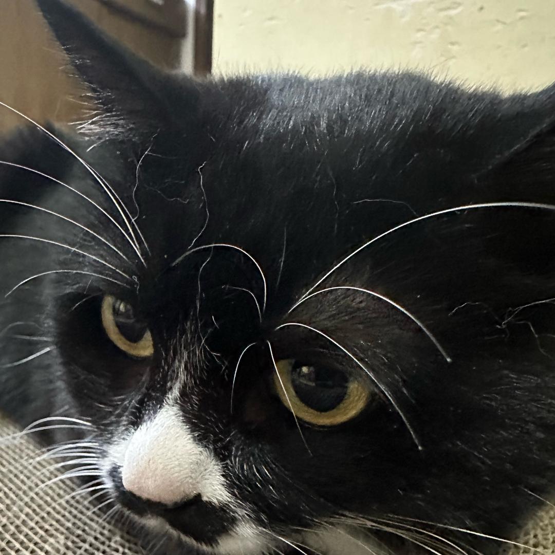 ⦮ 小王不睡觉⦯ ೨🧛🏼