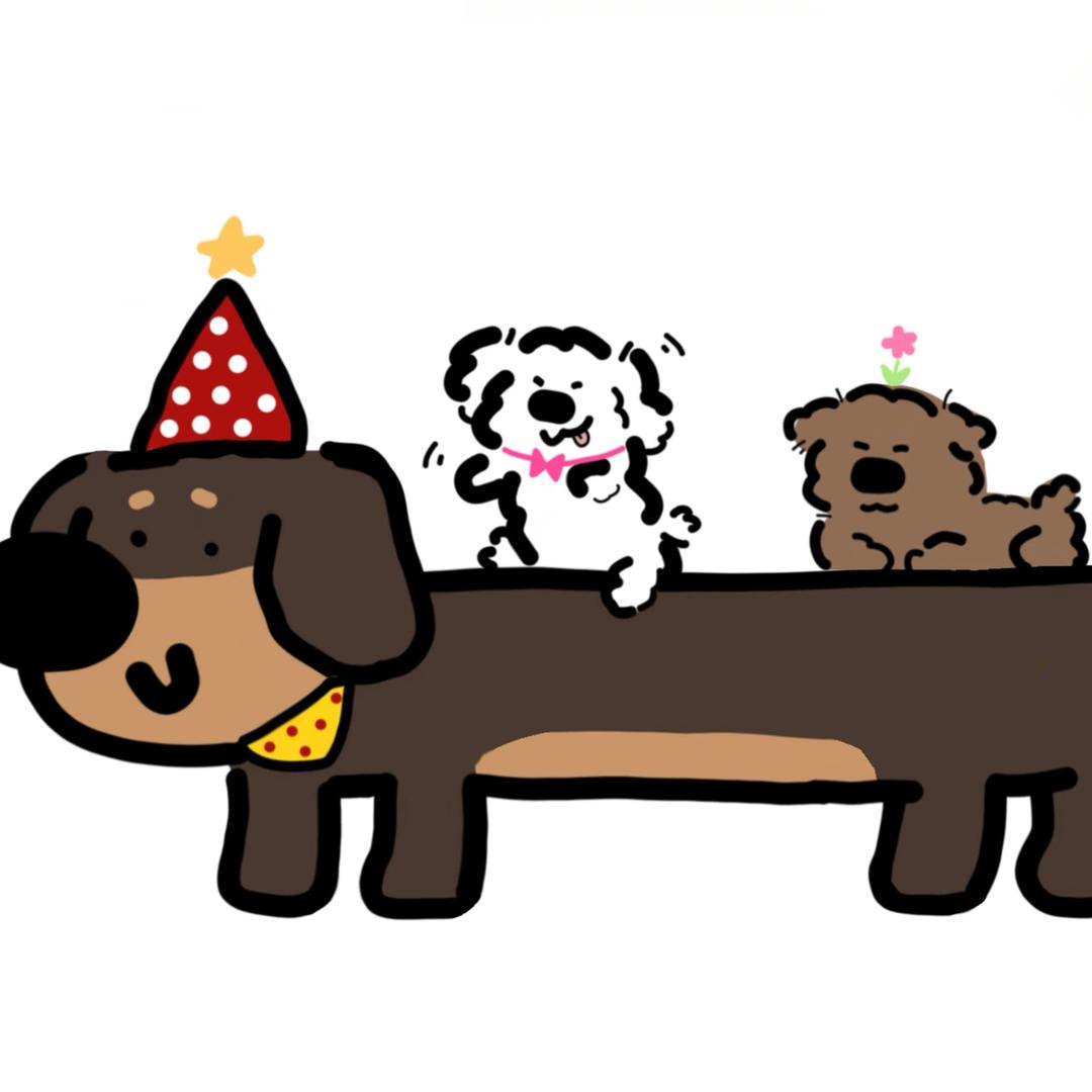 大马猴宠食小助理