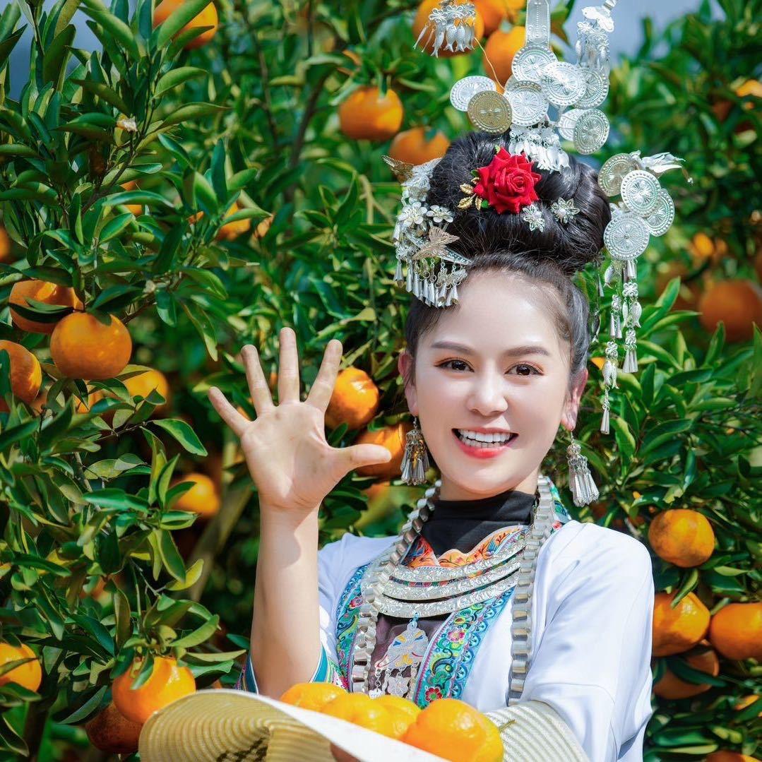 贾姑娘