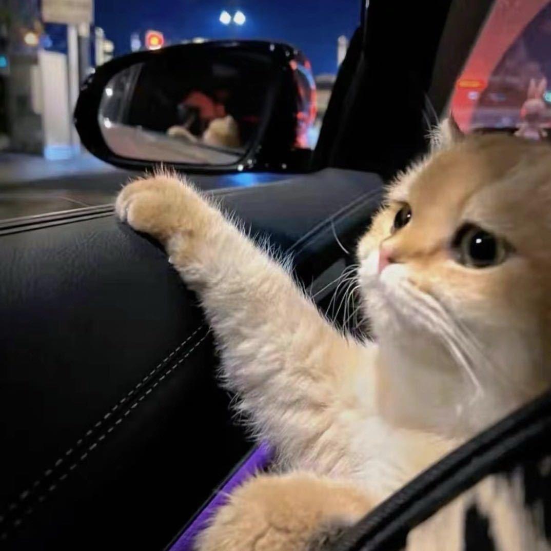 史迪仔☺️