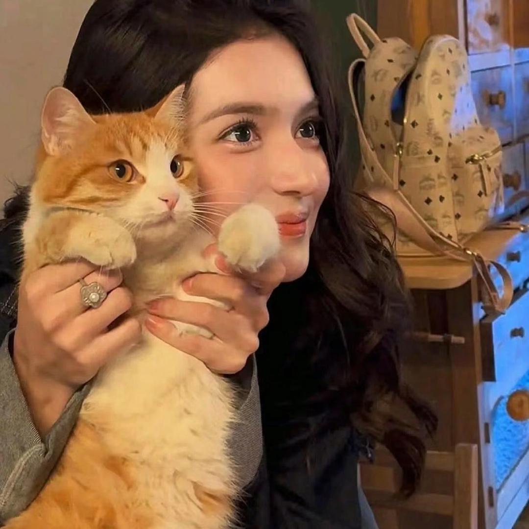 社恐的马铃薯🥔