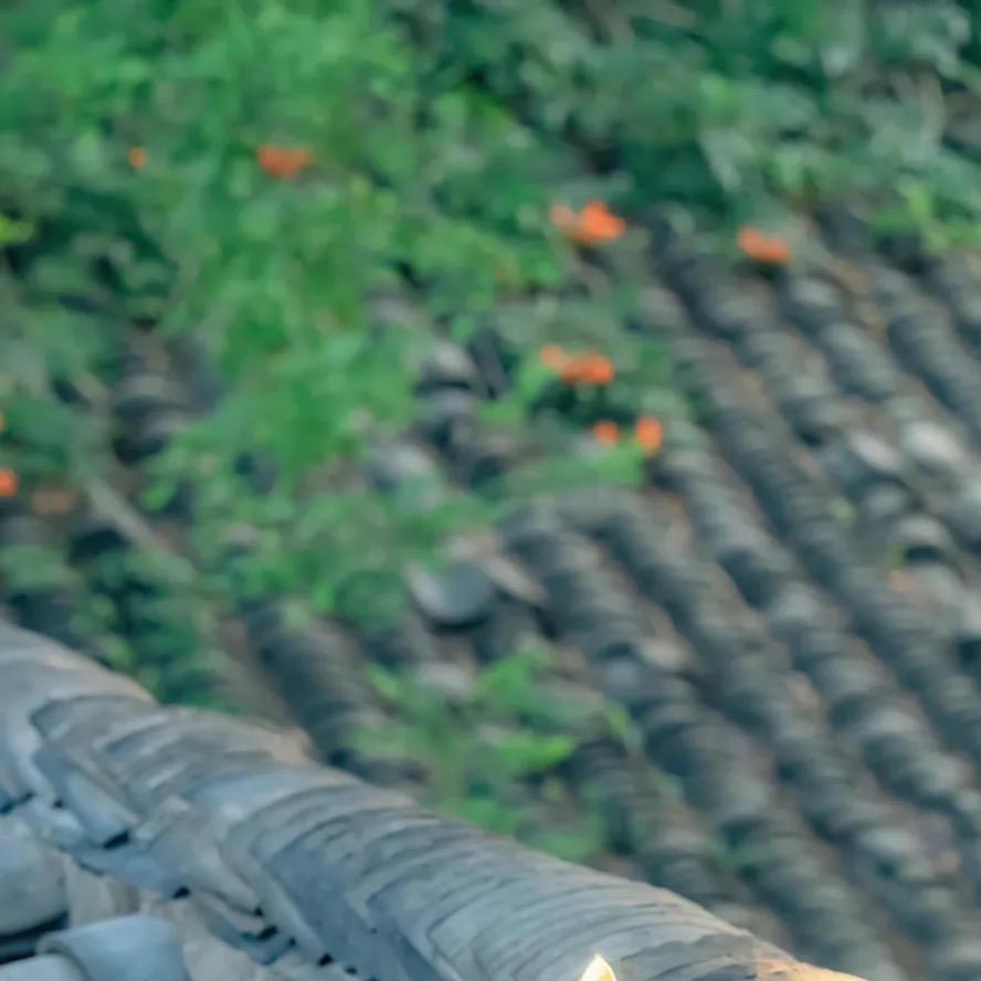 语如初百货商行