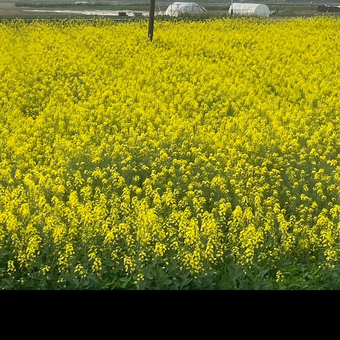 🥀ꦿ꯭田田好赵头💞꧔ꦿ᭄