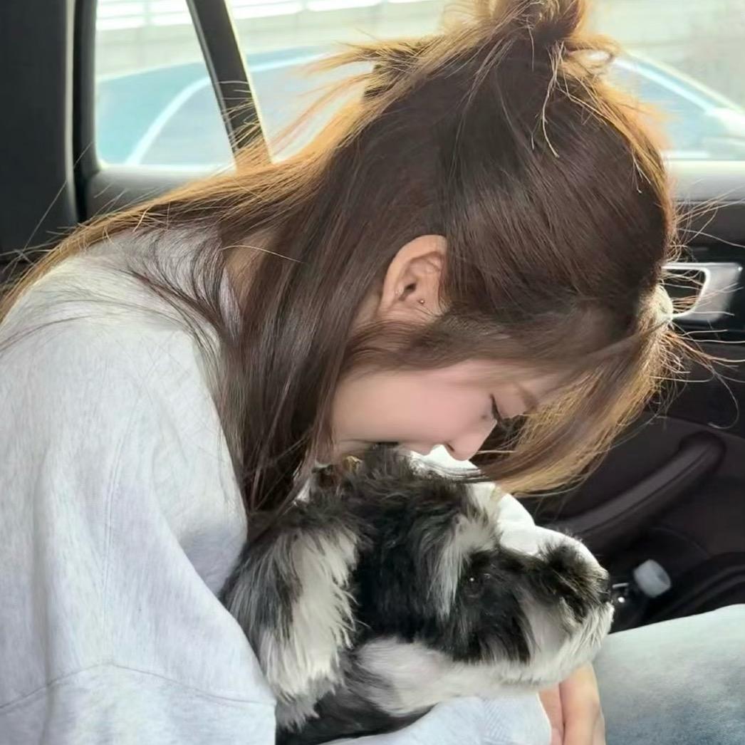 冰块的猫x