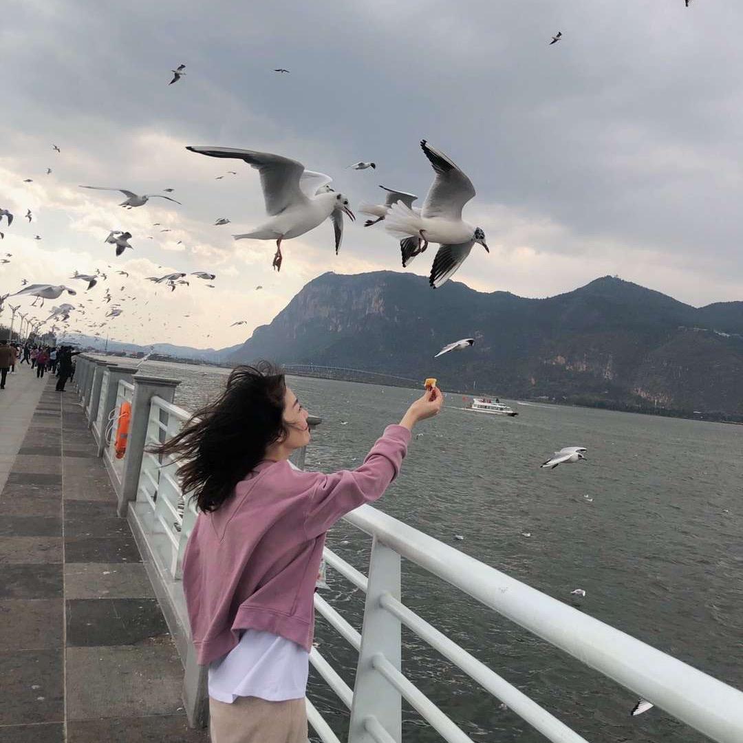 爱吃甜