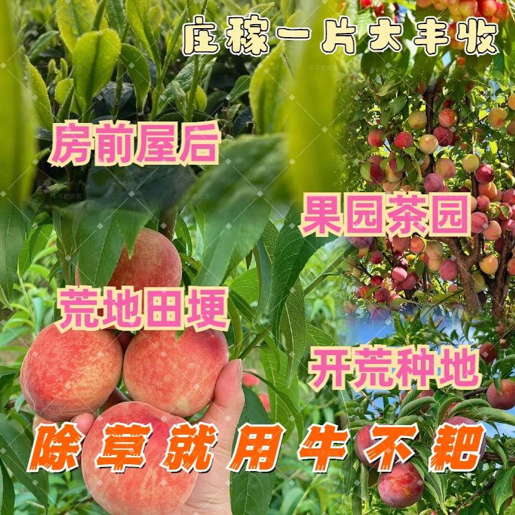 南昌创一丽雅说农资te te te