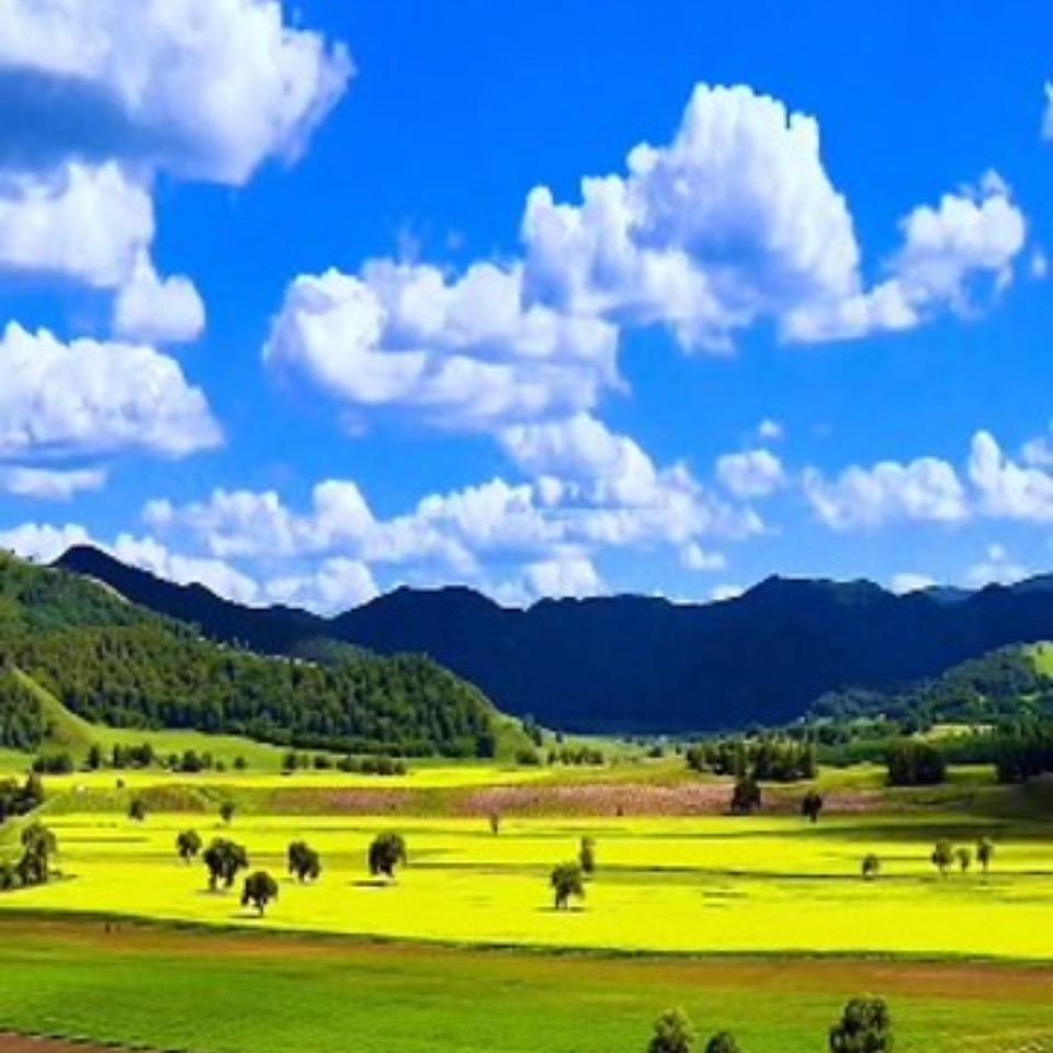 巳已如意