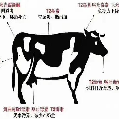 开原刘兽医