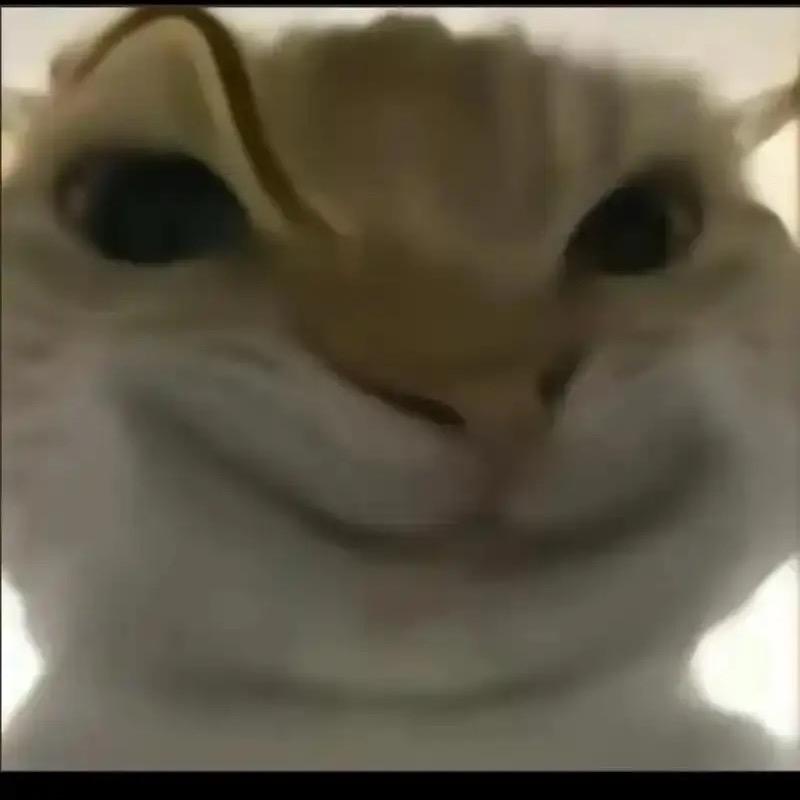 全网永劫第一废物