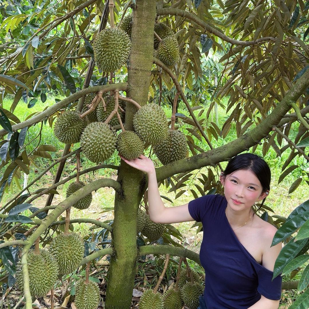 初源果树苗木专营店