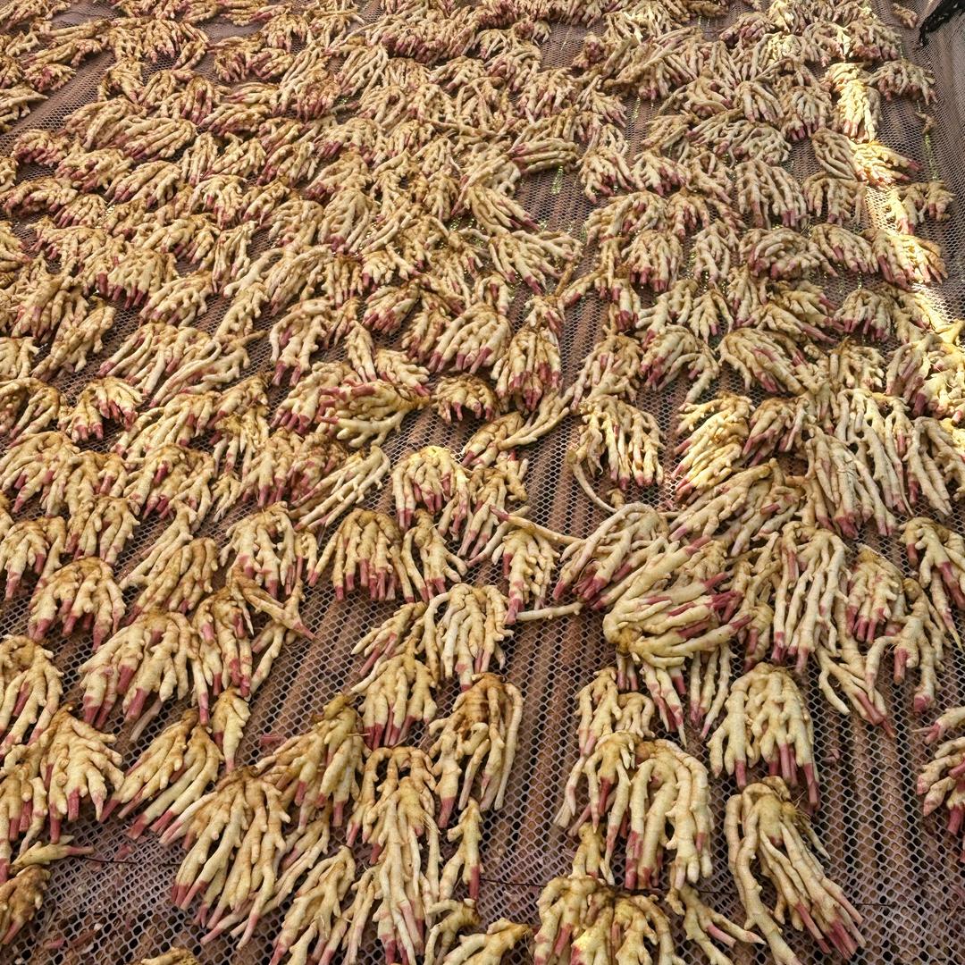 蔬菜优选🌽