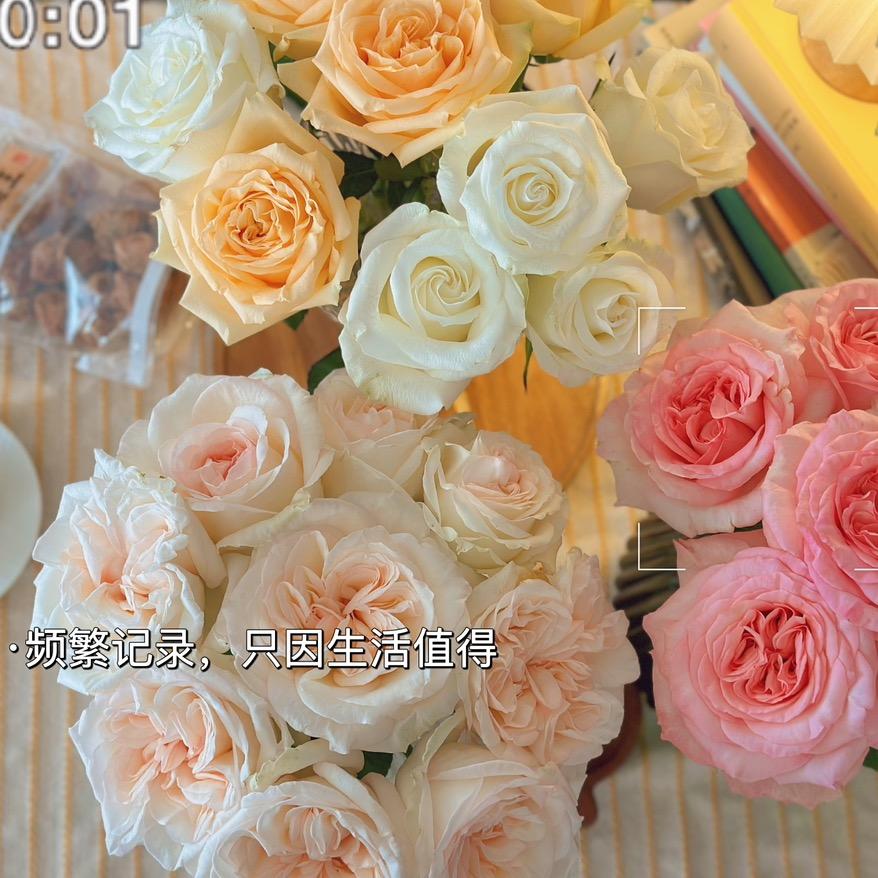 花圃小胖鲜花采摘园（开园中）