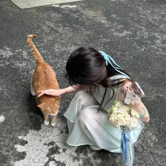 🍮小年糕气呼呼