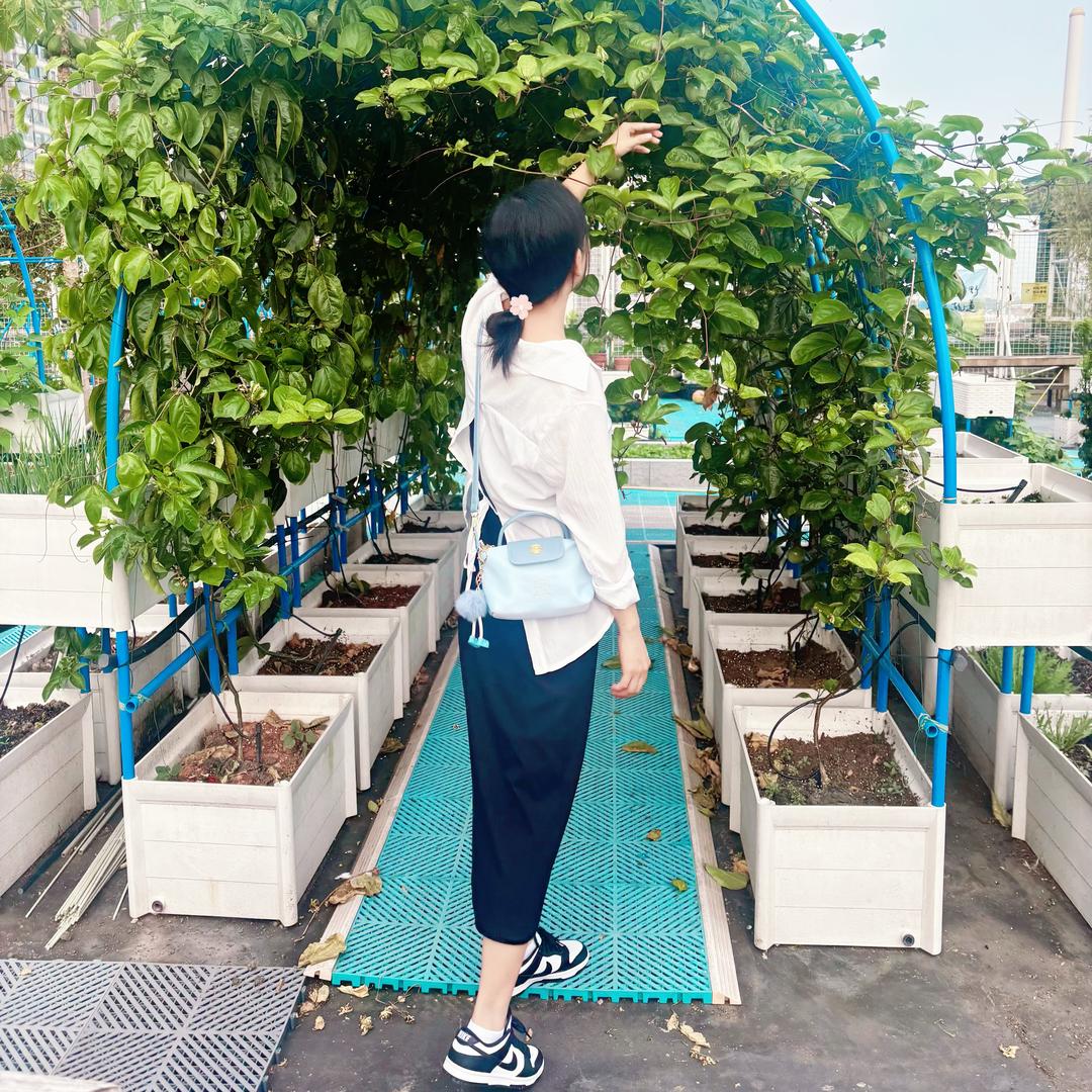 龙嘉嘉嘉