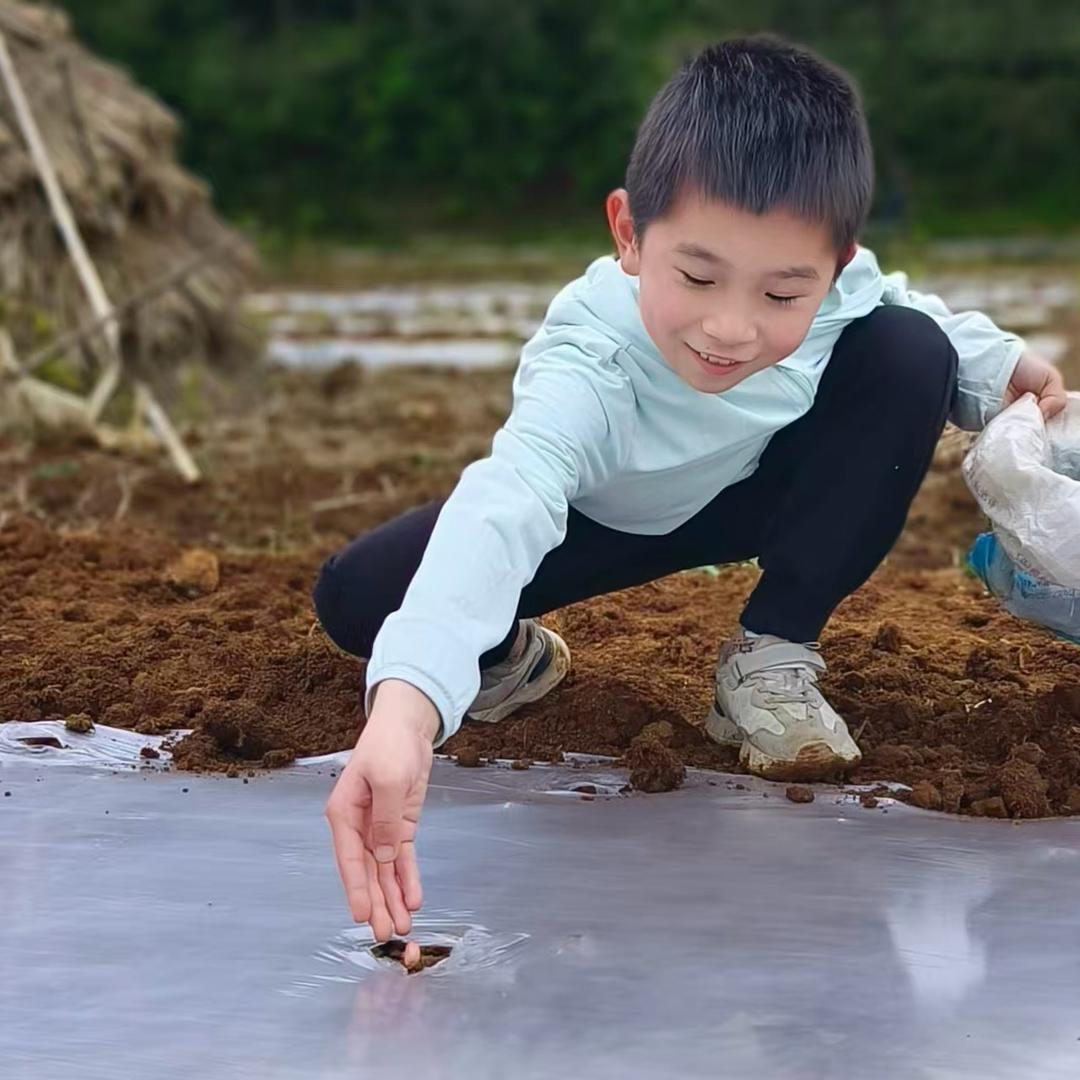 🌈龙井茶小王子