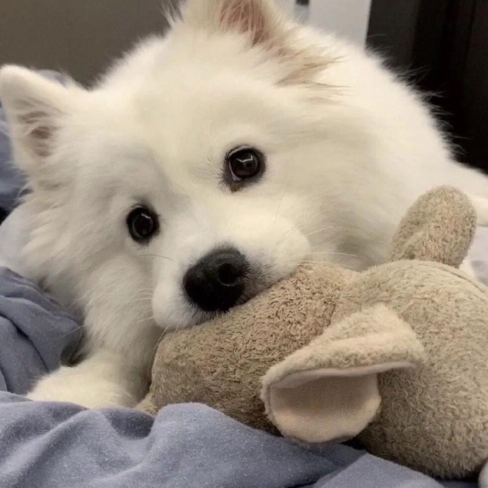 淼淼（永劫无间手游）