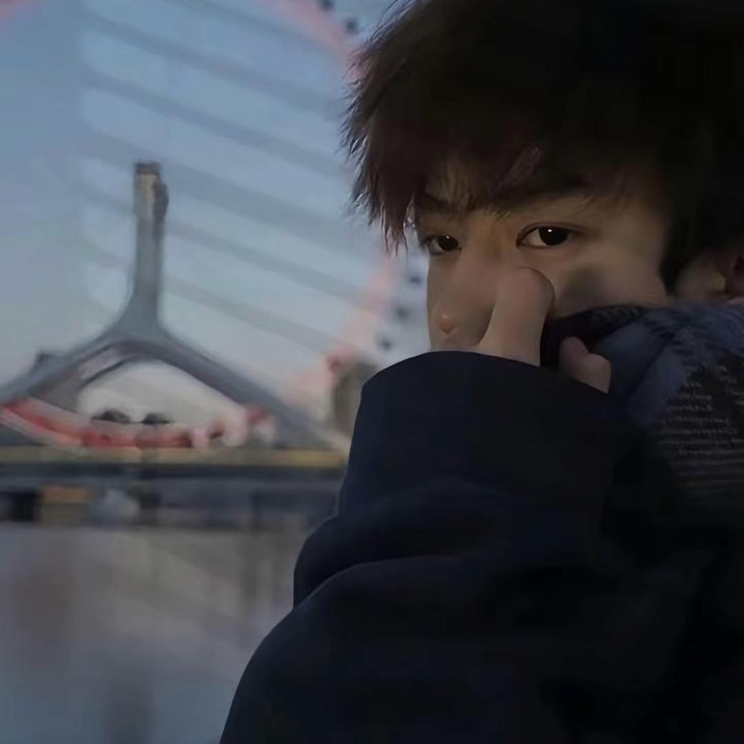 鲨