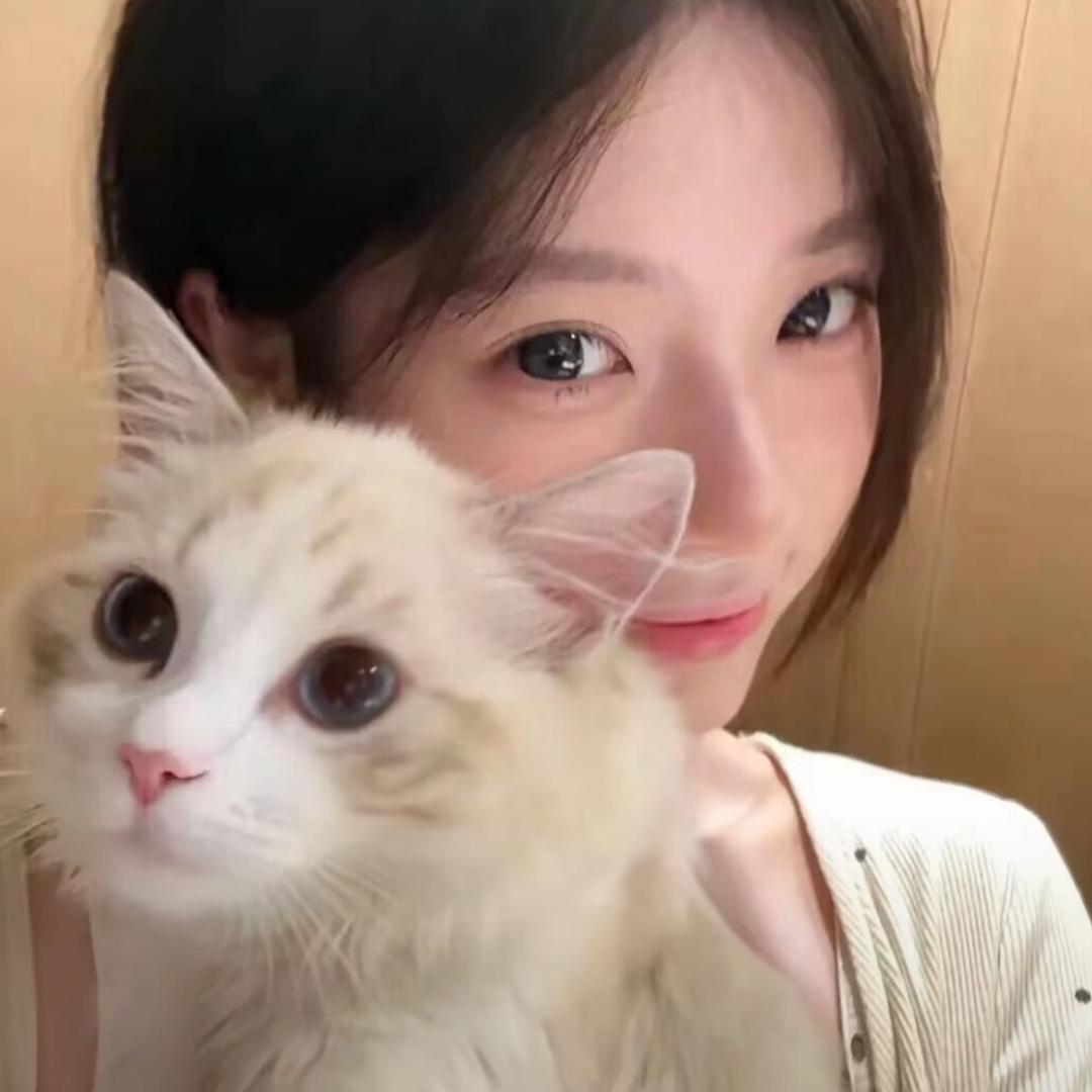 你看起来笨笨的、