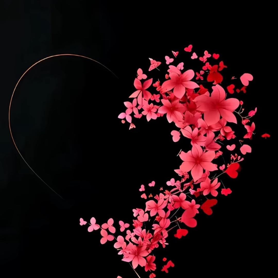 臻宇