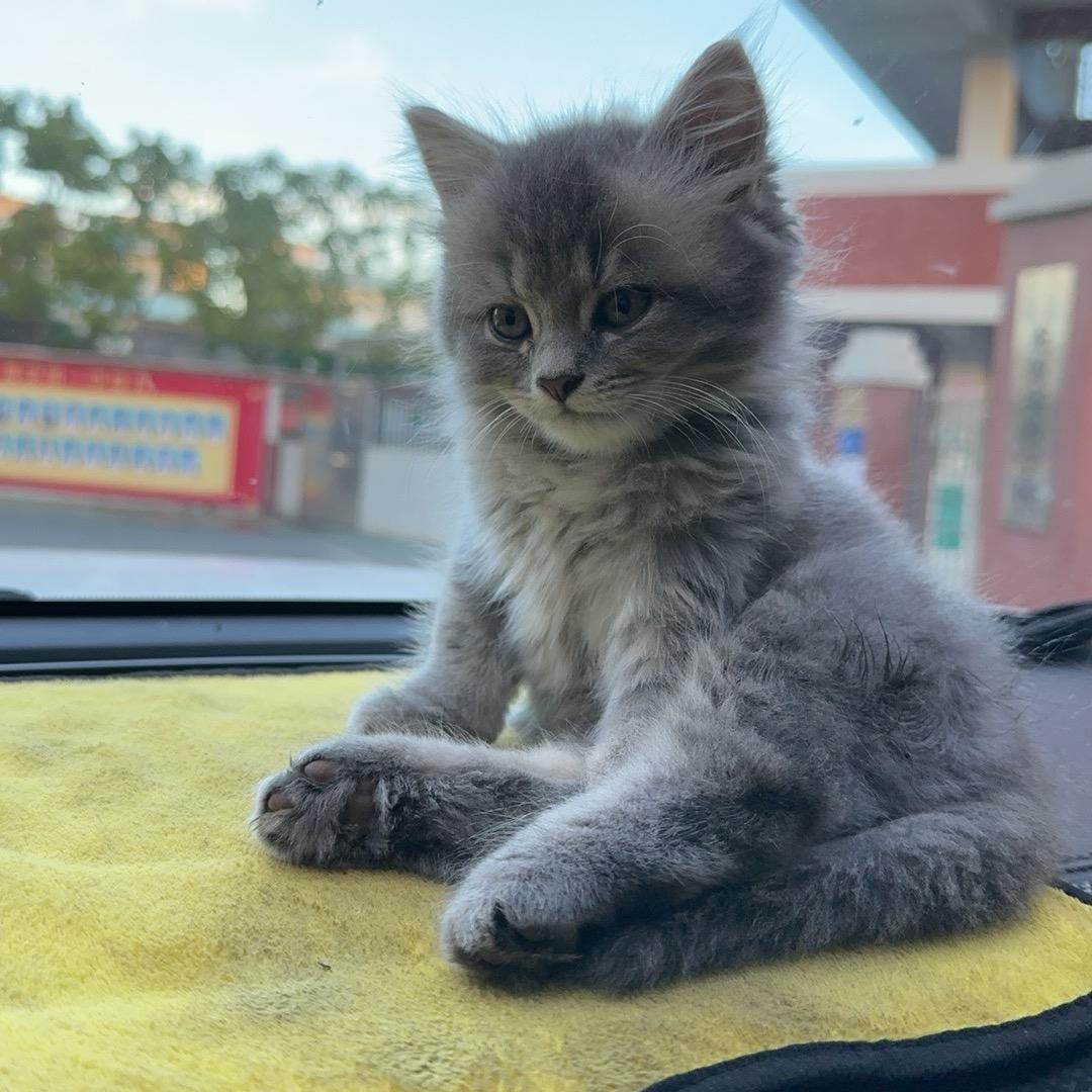 随缘-随意-随心