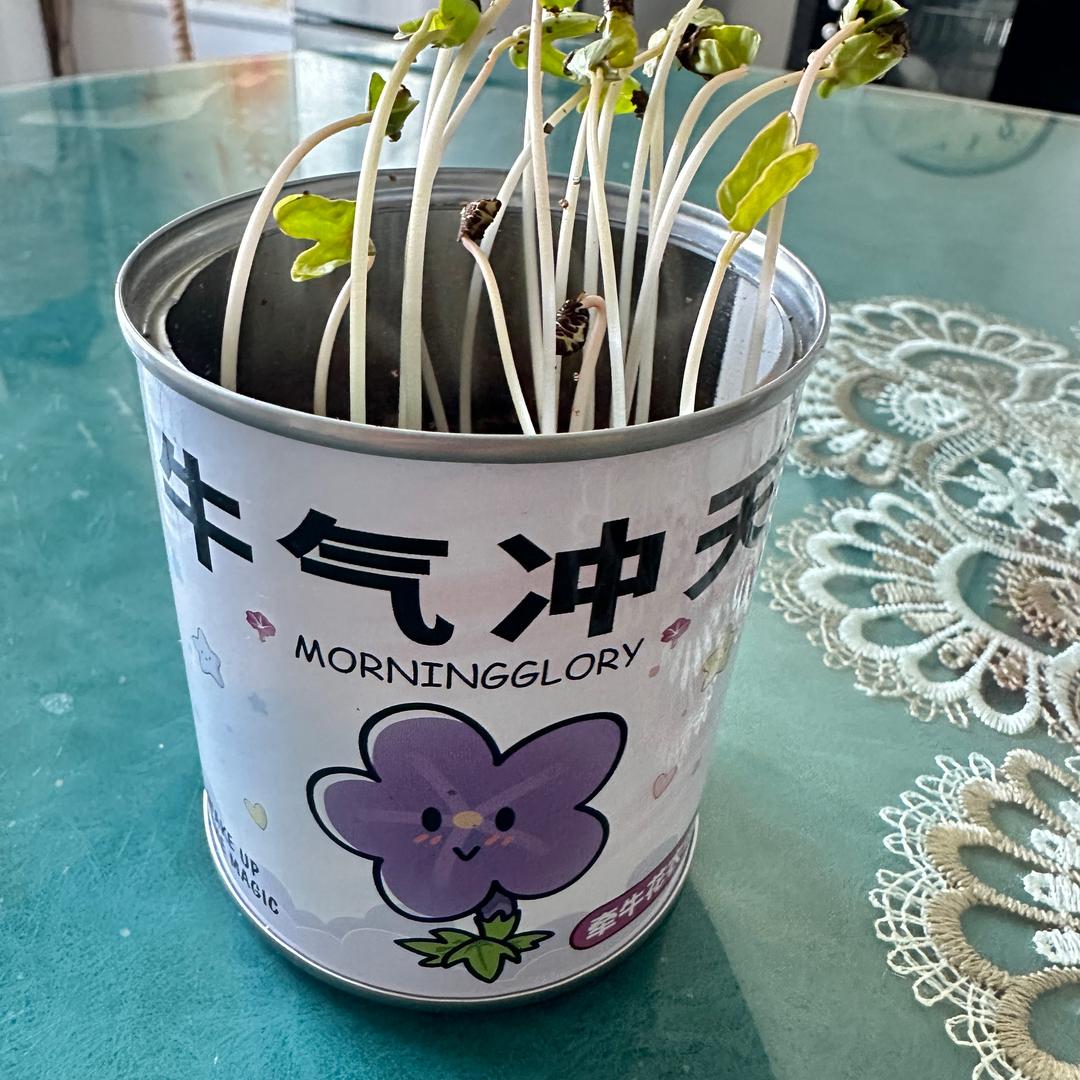 李艳