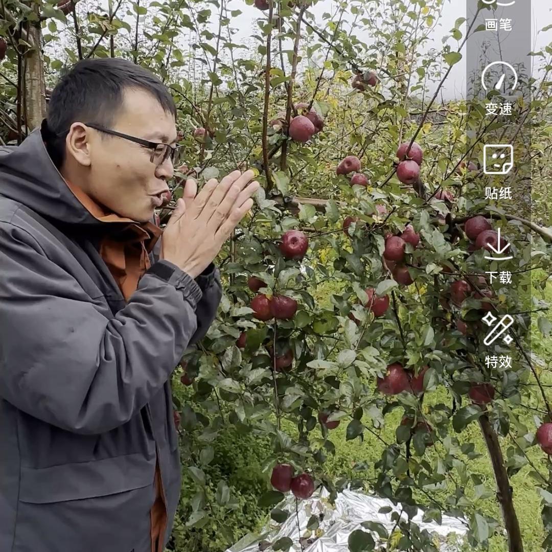 大理牛🐮（直播号)