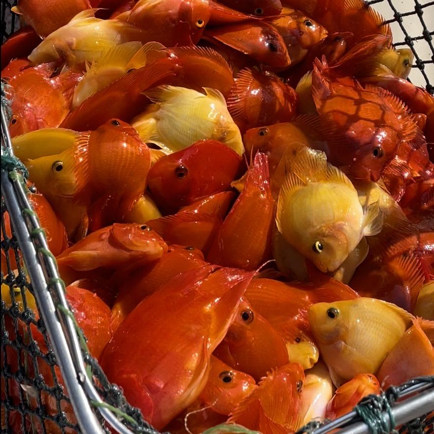 瑶池水族馆