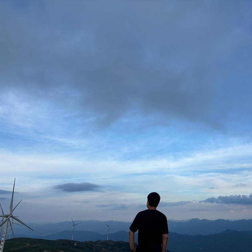 D主任