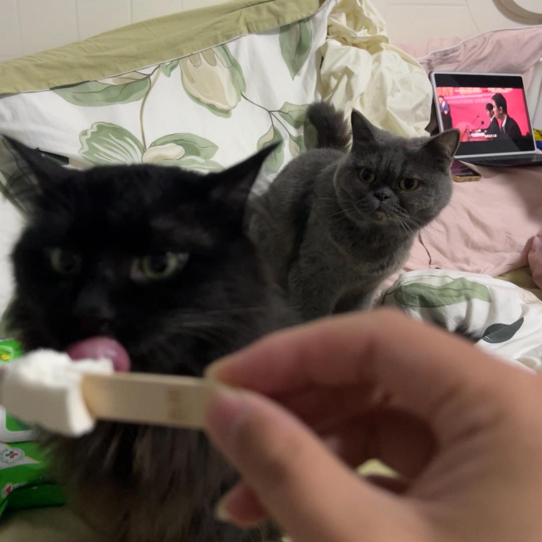 闭不上嘴和睁不开眼