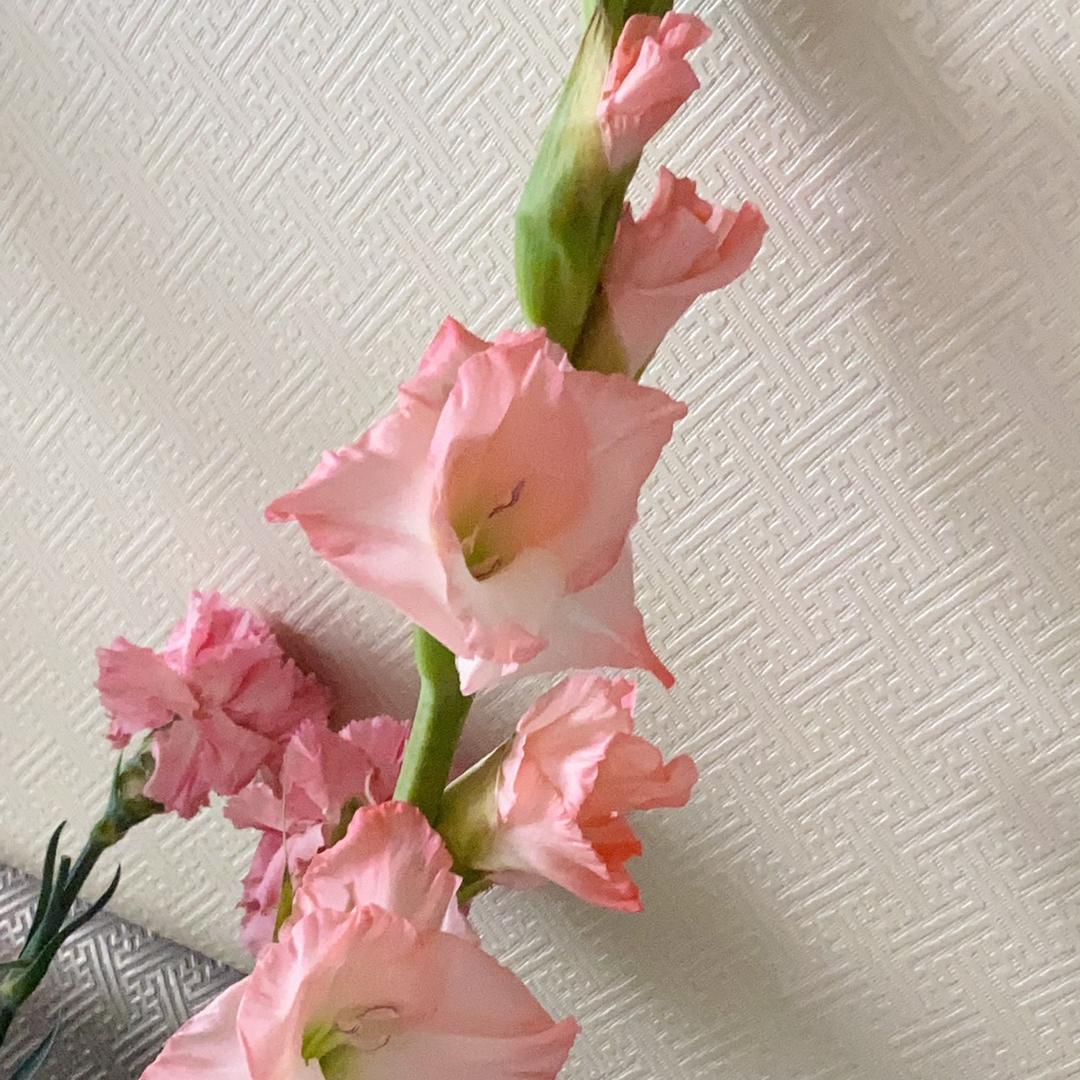 好久No见^_^