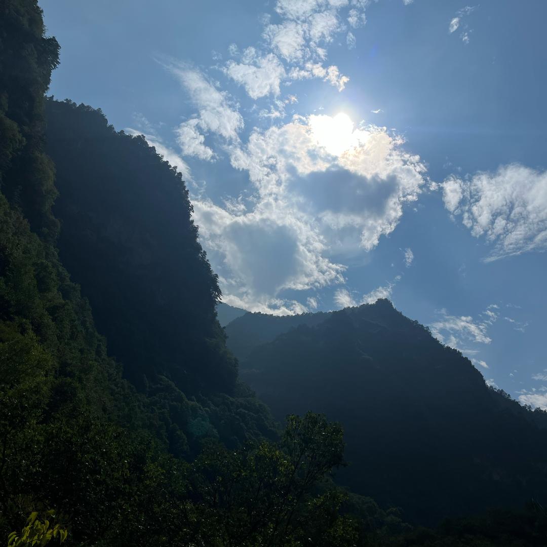 失去的过往就别在回头望