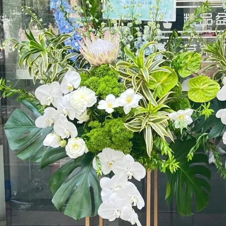 华灯夜游神头像