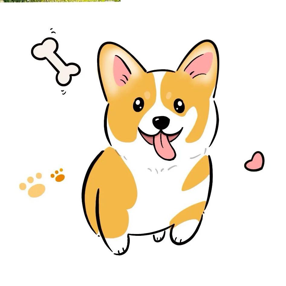 旺财宠物零食铺