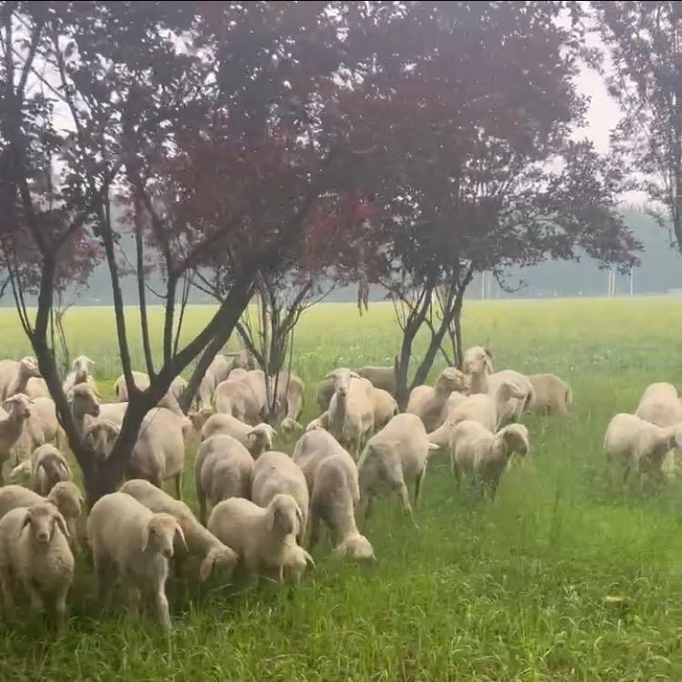 三河市牧泽源商店