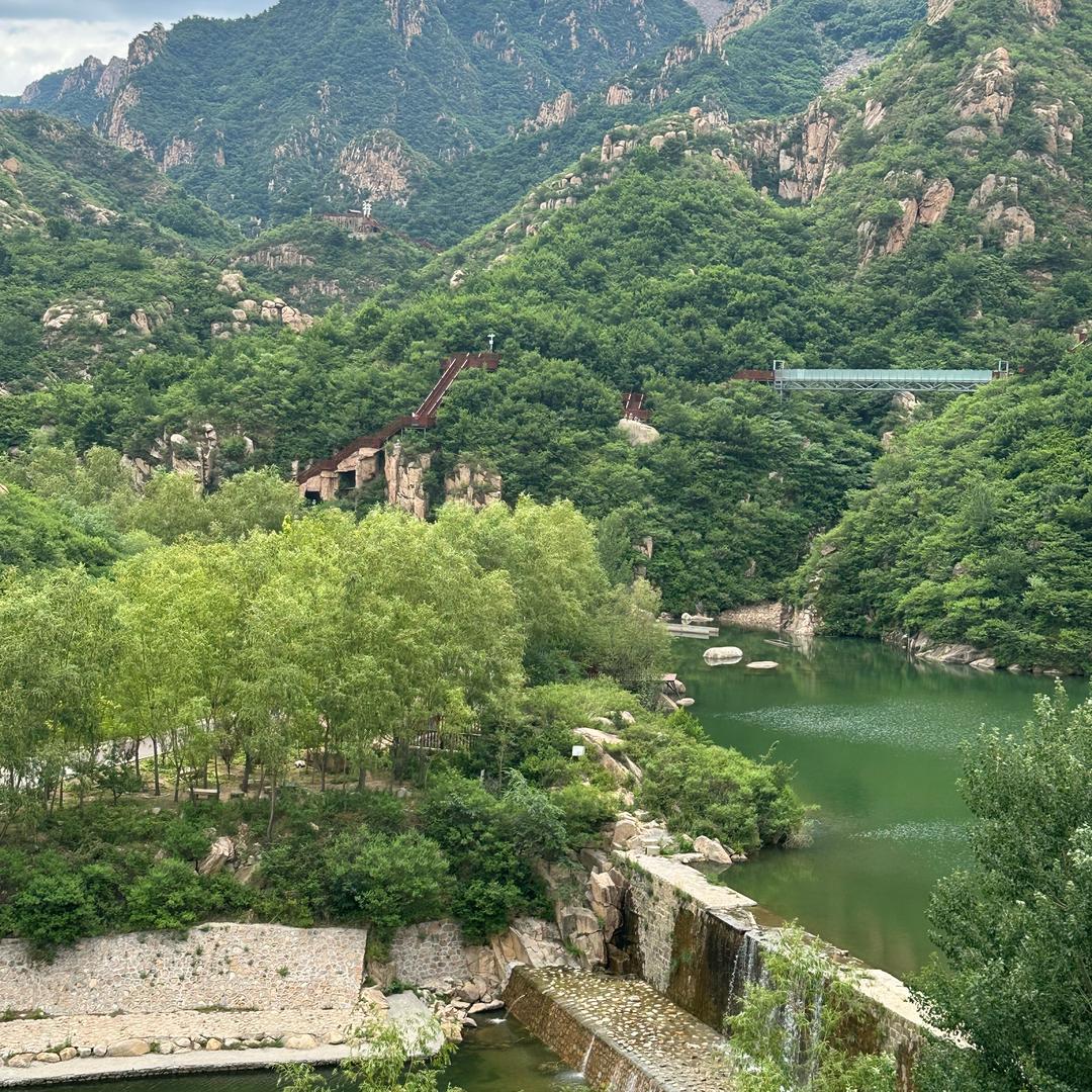 秋风拂叶🍃