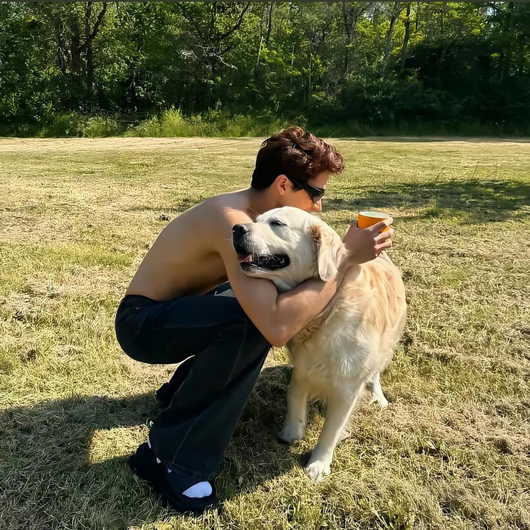 鸡兄肉（创业版）