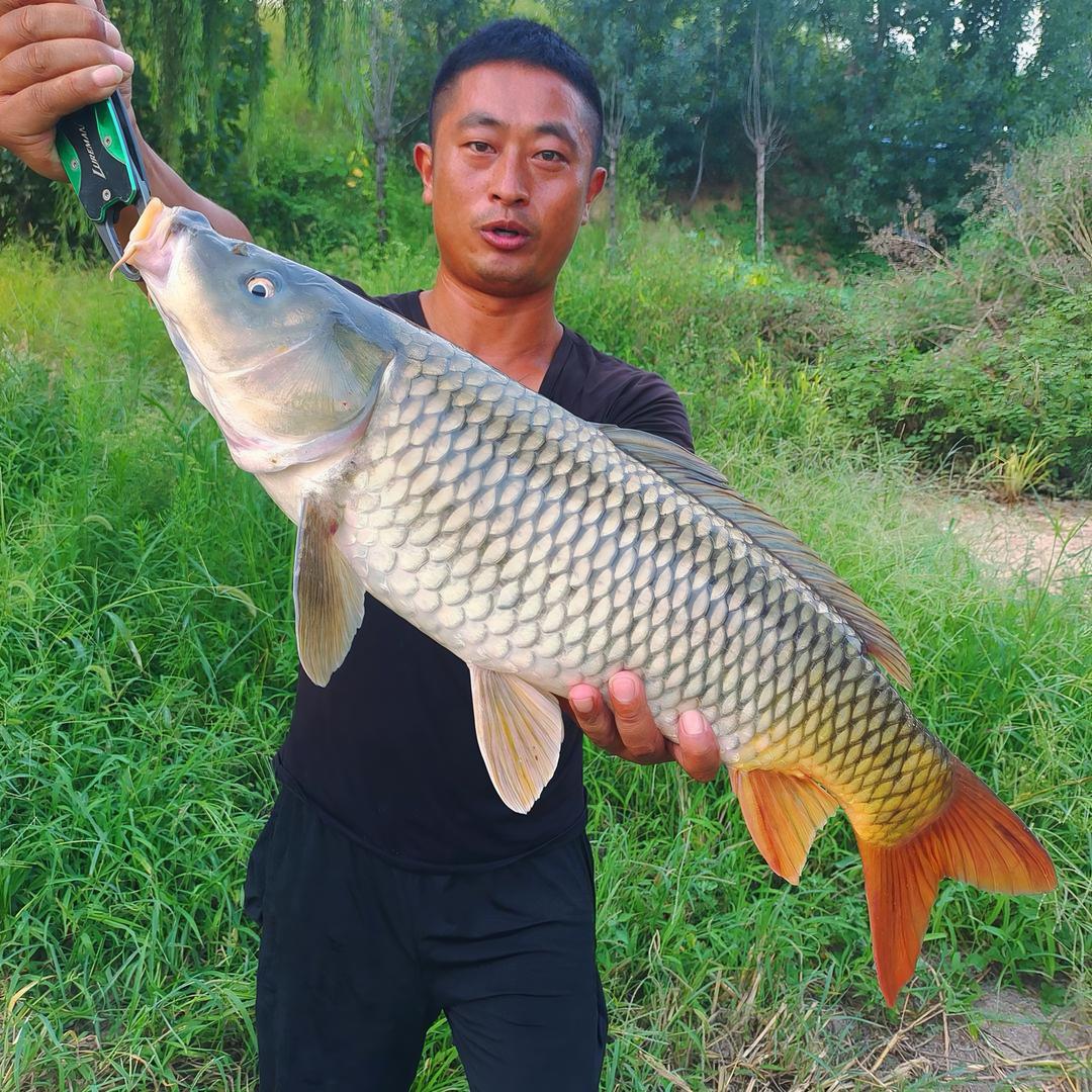 胡进钓鱼(胡九斤)