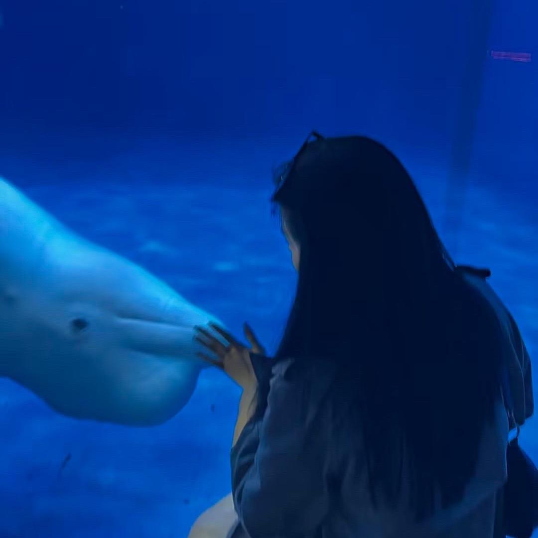 陳陳陳陈.