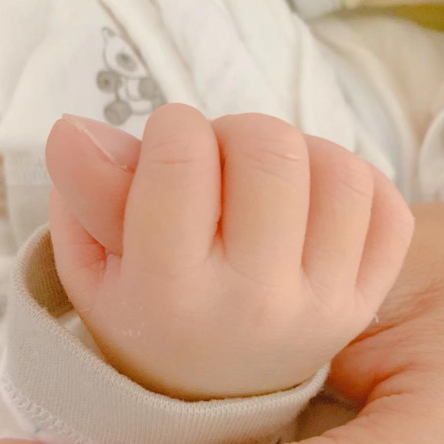 嘉禾玩具(中午12:40分直播)