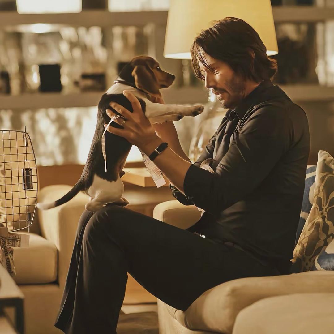 ㅤㅤㅤㅤㅤㅤㅤㅤㅤㅤㅤㅤㅤㅤㅤㅤㅤㅤㅤ·