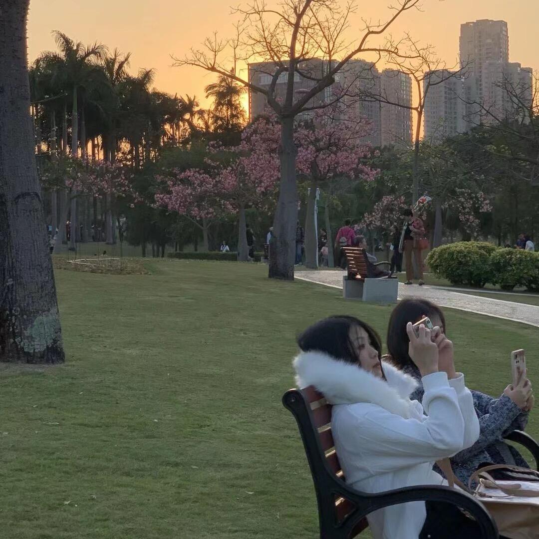 ￴￴￴ ￴￴￴￴ ￴￴阿滕🍀