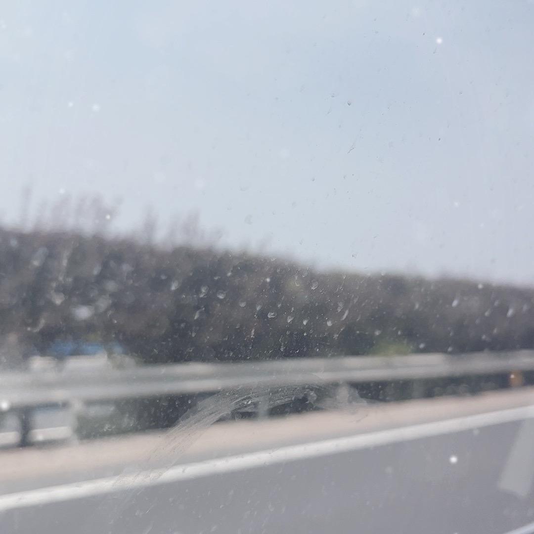 青杏小