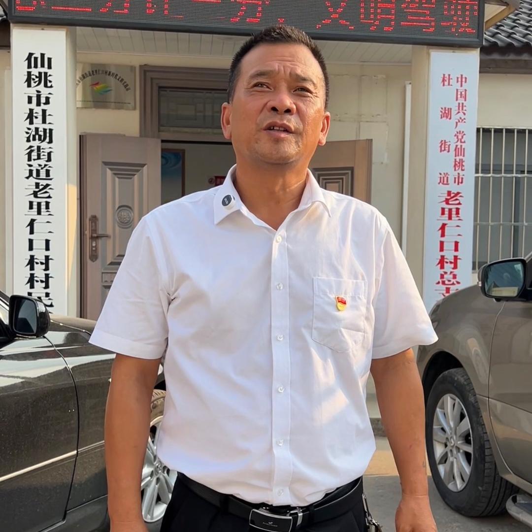 仙桃乡村书记