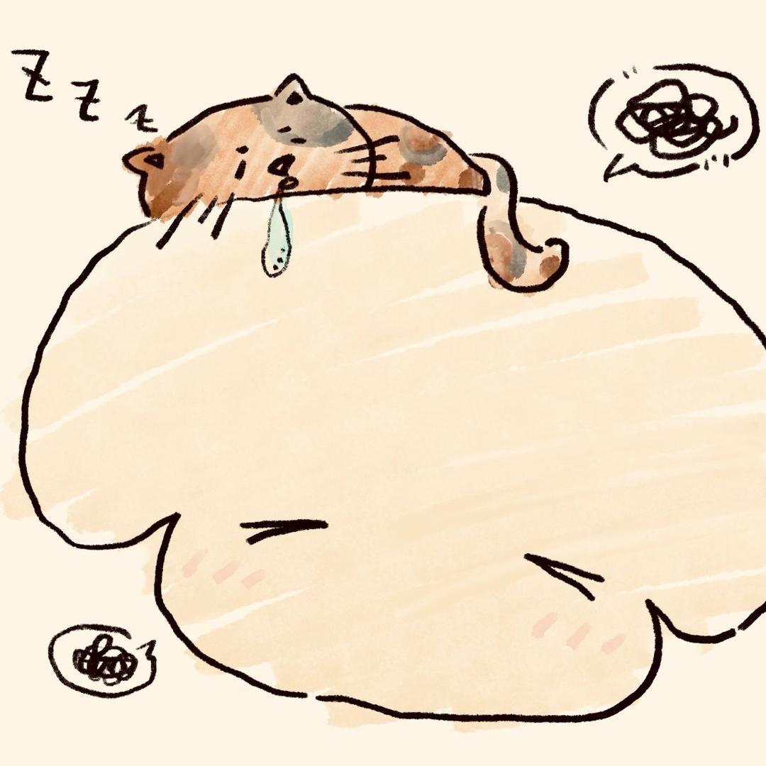 烊烊🐾