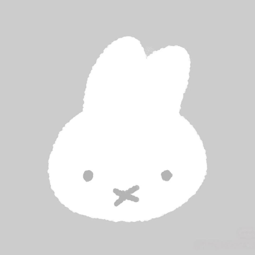 苹果干