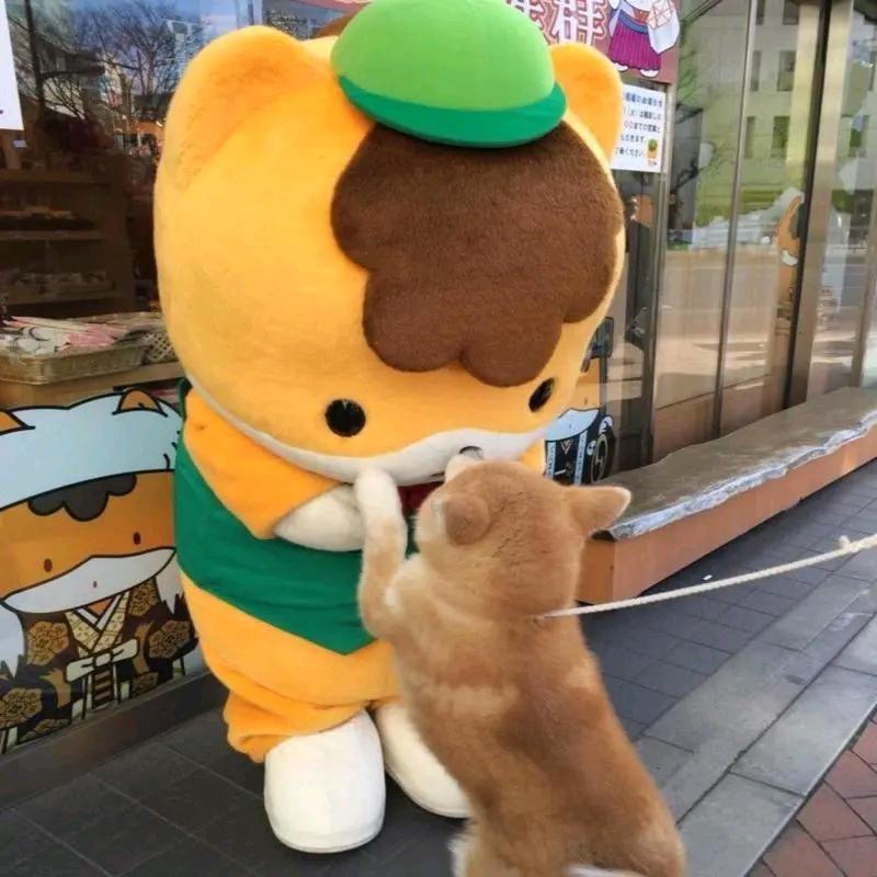 泡泡堂aaa